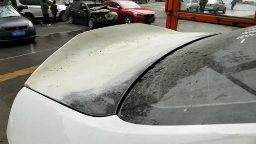 全國(guó)首例起亞k2寬體改裝車(chē),小眾車(chē)也能玩出自己的風(fēng)格